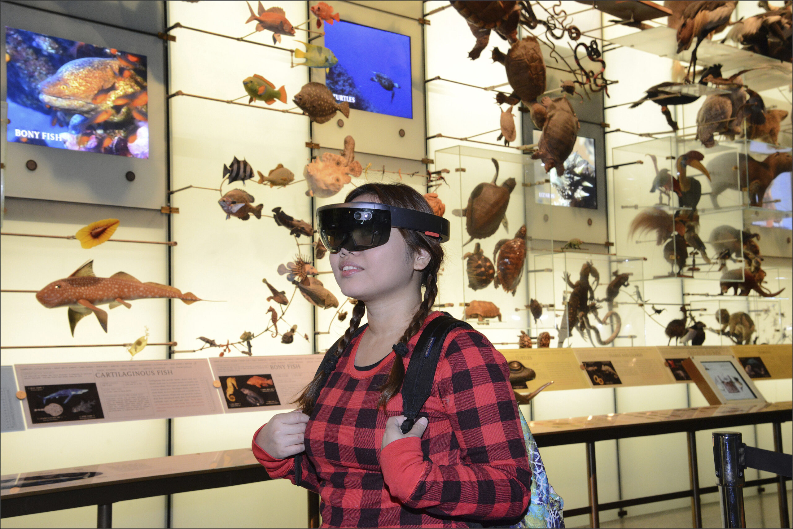 (Roderick Mickens/American Museum of Natural History via AP)
