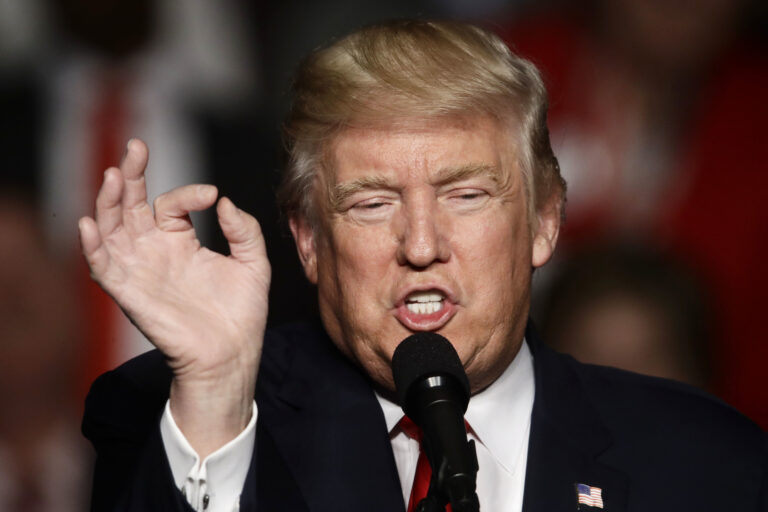 President-elect Donald Trump speaks during a rally in Hershey, Pa., Thursday, Dec. 15, 2016. (AP Photo/Matt Rourke) (AP)