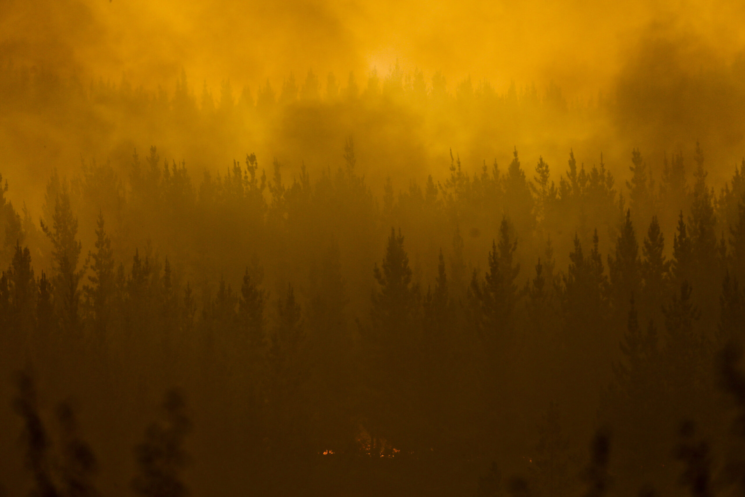 (AP Photo/Esteban Felix)