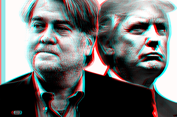 Steve Bannon; Donald Trump (AP/Gerald Herbert/GettyDrew Angerer/Salon)