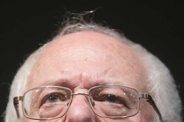 Bernie Sanders (AP/John Minchillo)