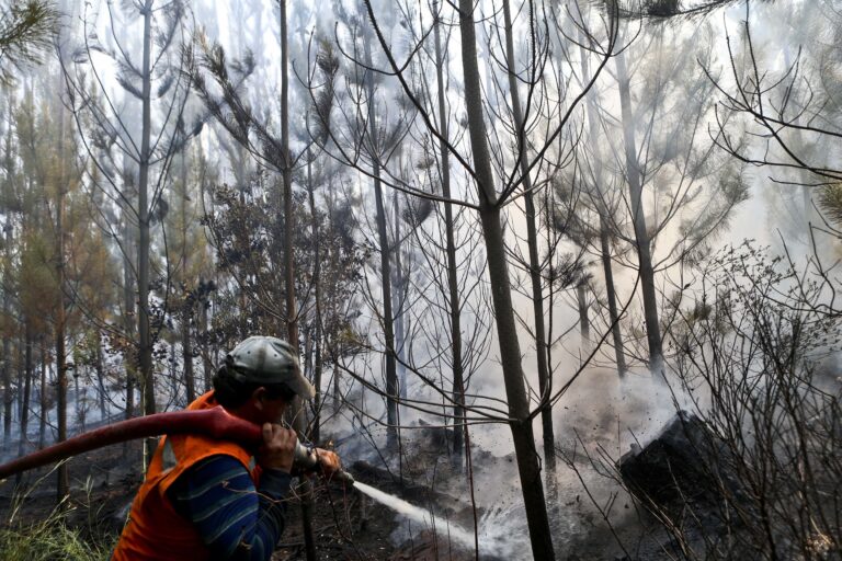 (AP Photo/Esteban Felix)