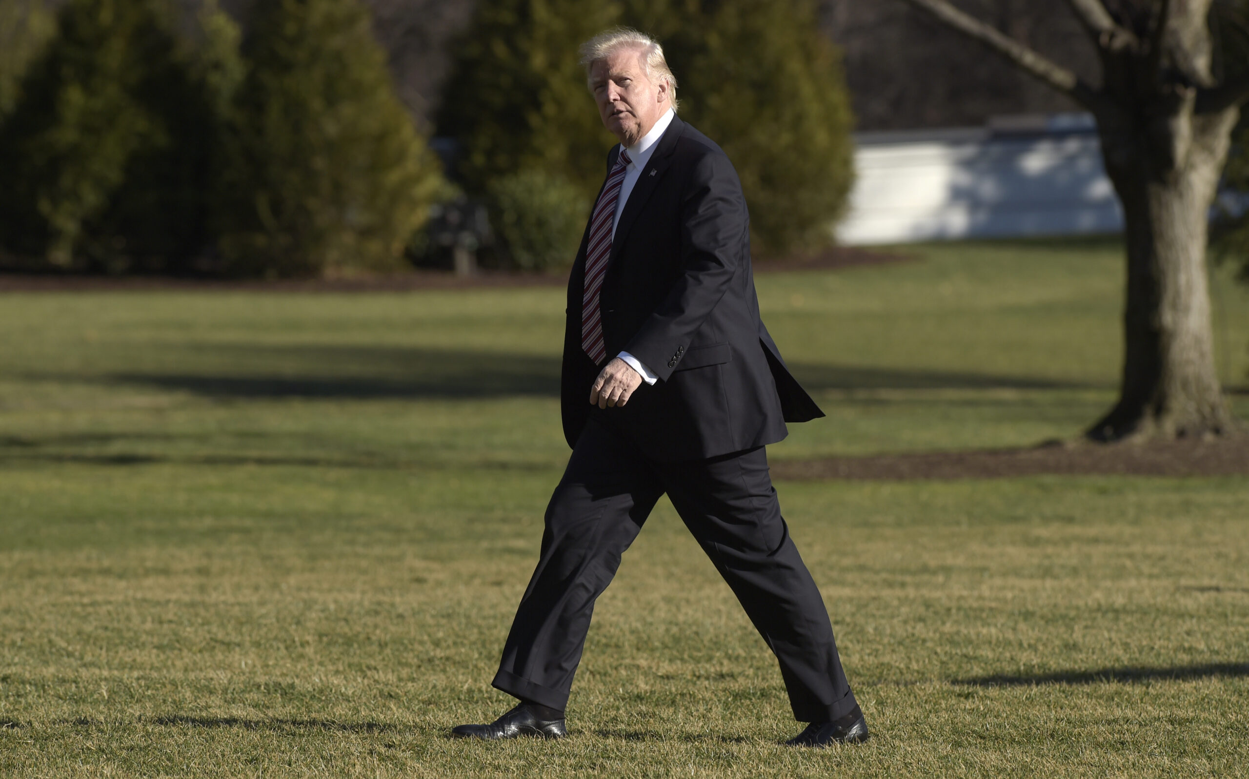 President Donald Trump walks on the South Lawn of the White House in Washington, Thursday, Jan. 26, 2017, after returning from a trip to Philadelphia. ((AP Photo/Susan Walsh))