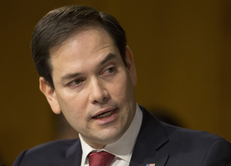 (AP Photo/Steve Helber, File)