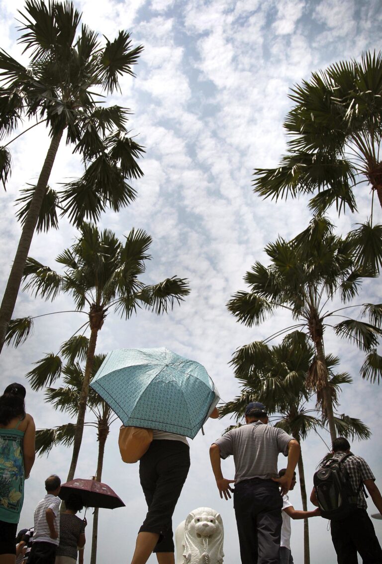 FILE - In this Aug. 21, 2012, file photo, tourists make pictures under tropical palm trees in Singapore. A Massachusetts Institute of Technology project called Treepedia, that maps trees in the world's major cities, is making it easier to determine where more green is needed. Trees play a critical role in urban environments, helping keep cities cool, mitigating air and noise pollution and just making them more pleasant places to live and work. (AP Photo/Wong Maye-E, File) (AP)