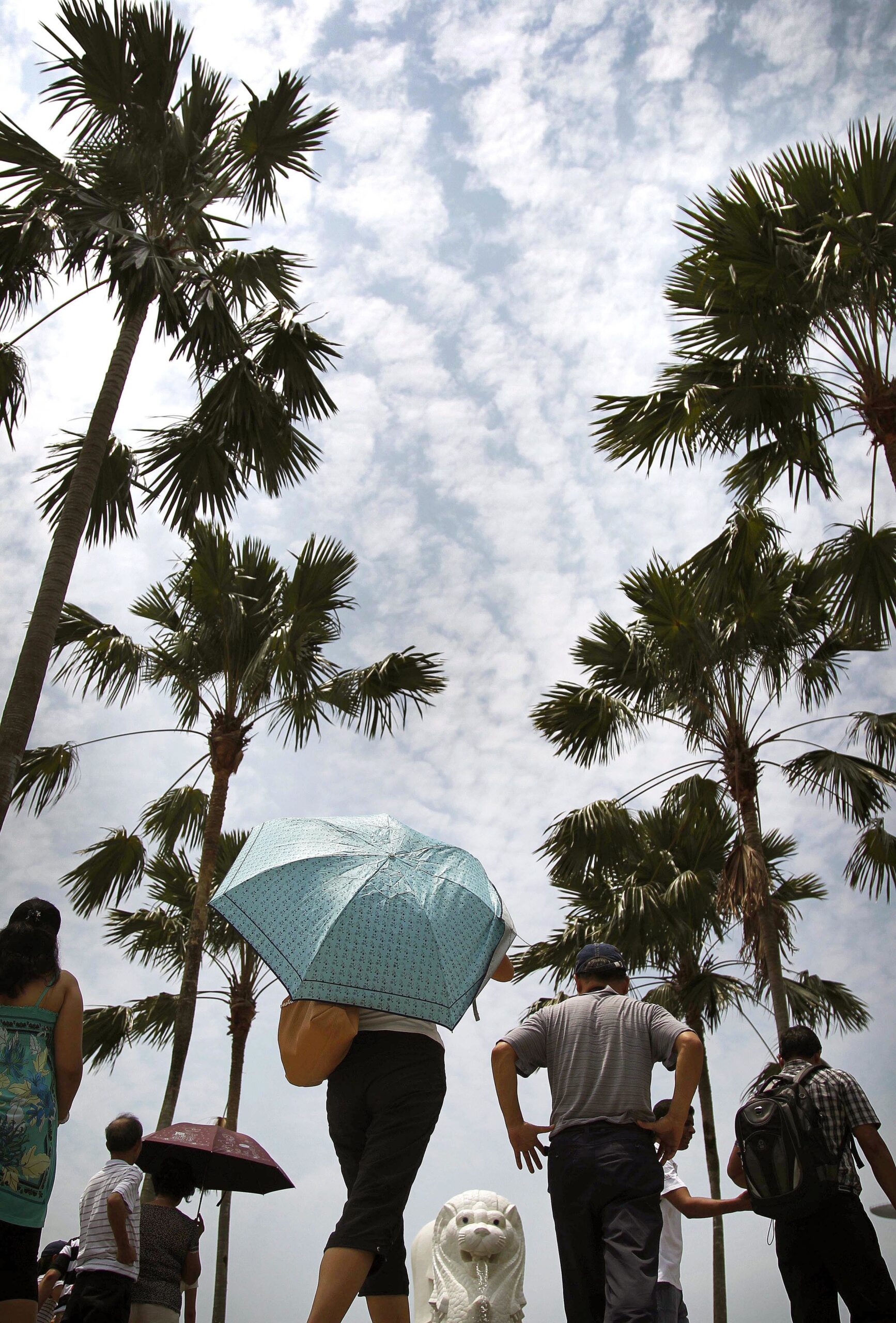 FILE - In this Aug. 21, 2012, file photo, tourists make pictures under tropical palm trees in Singapore. A Massachusetts Institute of Technology project called Treepedia, that maps trees in the world's major cities, is making it easier to determine where more green is needed. Trees play a critical role in urban environments, helping keep cities cool, mitigating air and noise pollution and just making them more pleasant places to live and work. (AP Photo/Wong Maye-E, File) (AP)