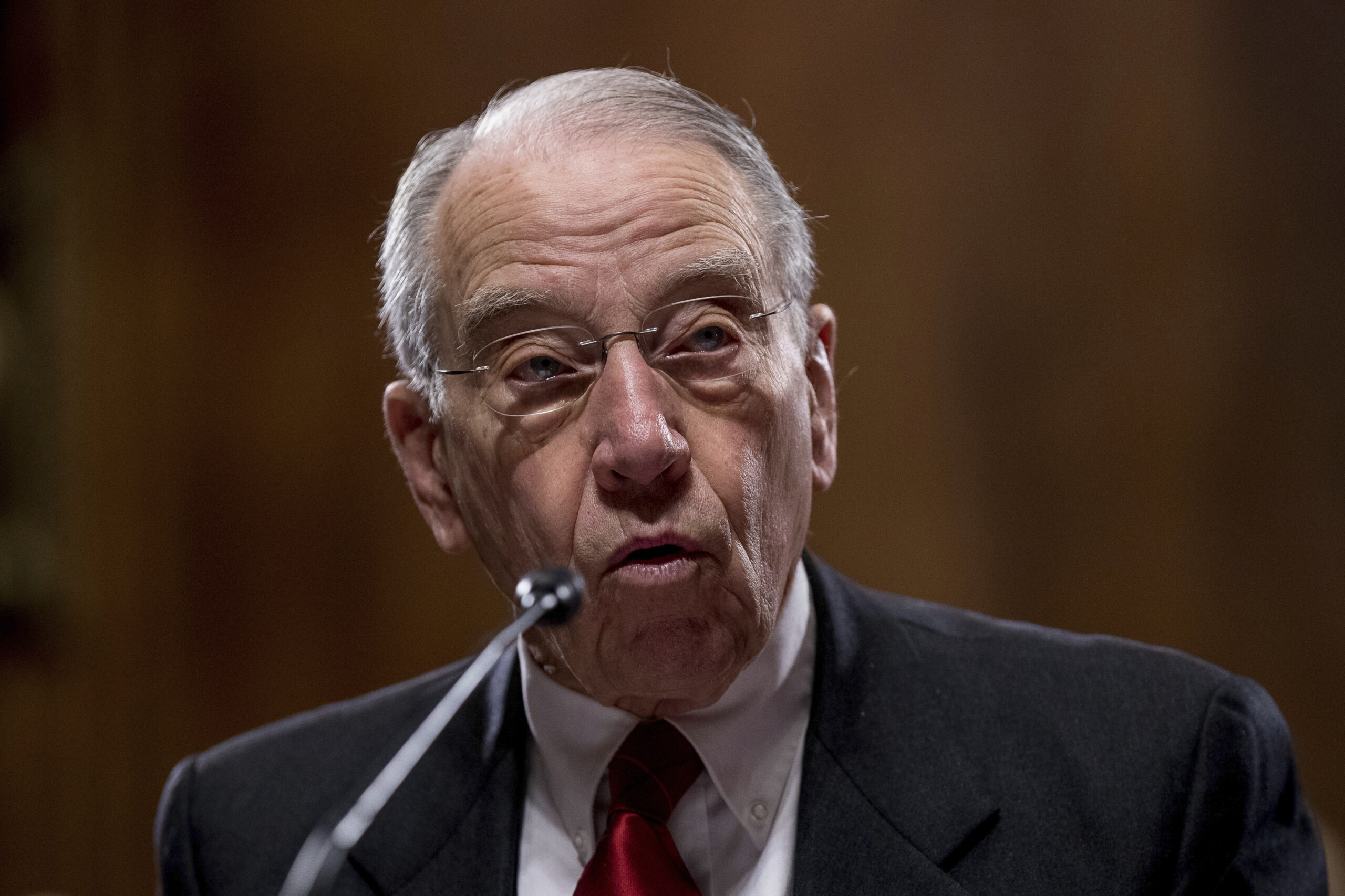 (AP Photo/Andrew Harnik, File)