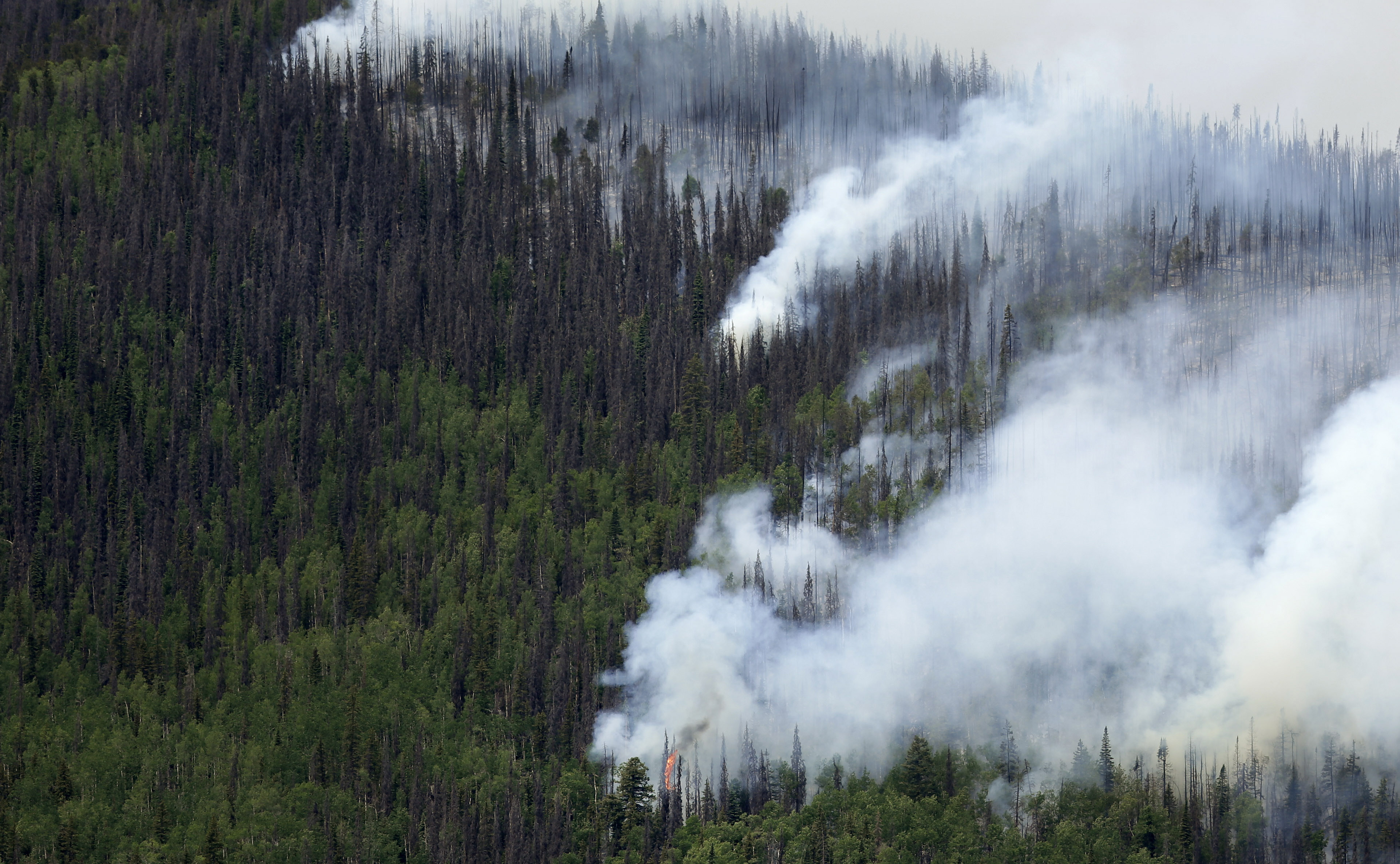 (AP Photo/Gregory Bull, File)