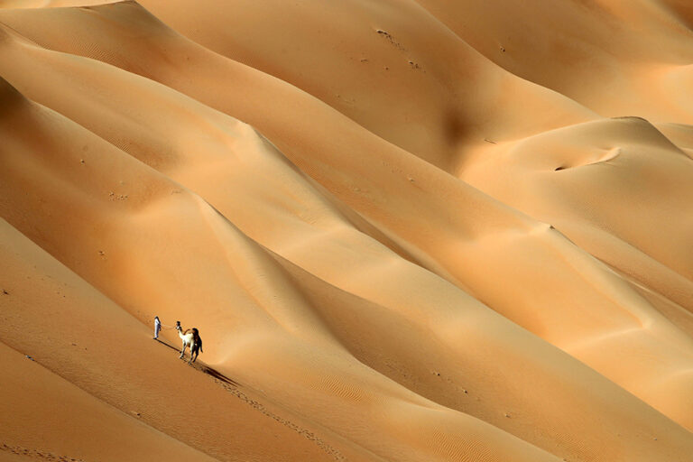 An Emirati man walks with his camels across the Hameem desert, some 170 kilometres west of the Gulf Emirate of Abu Dhabi, on February 24, 2017. / AFP / KARIM SAHIB        (Photo credit should read KARIM SAHIB/AFP/Getty Images) (AFP/Getty Images)