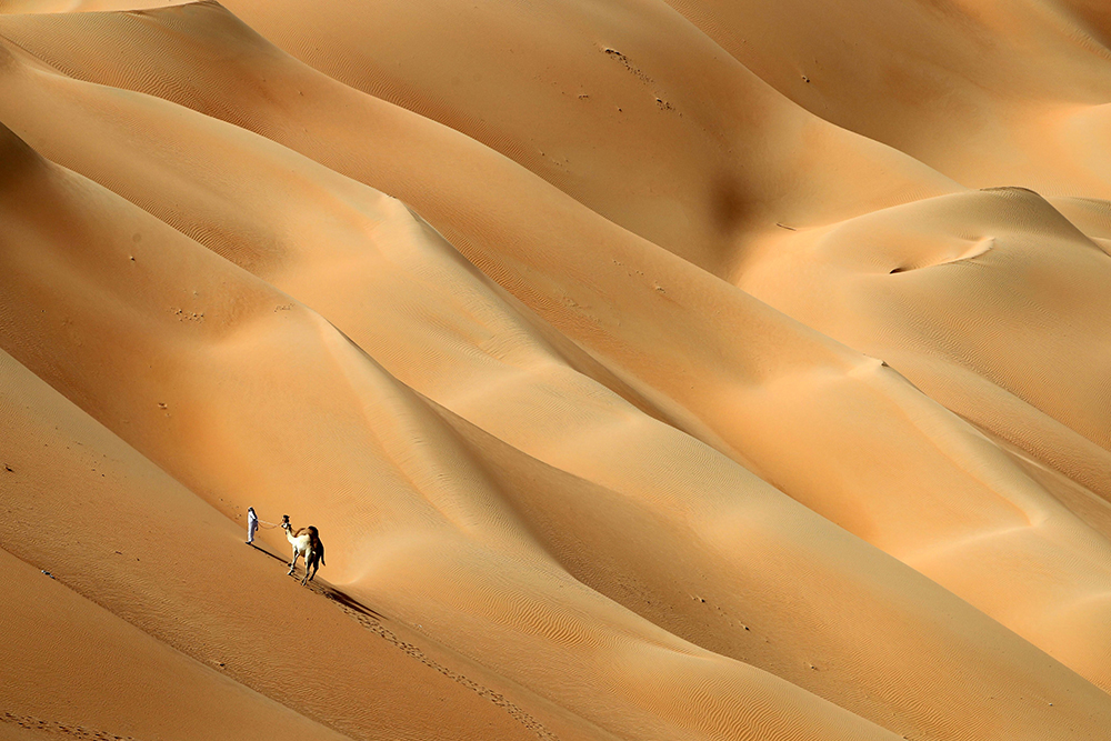 An Emirati man walks with his camels across the Hameem desert, some 170 kilometres west of the Gulf Emirate of Abu Dhabi, on February 24, 2017. / AFP / KARIM SAHIB        (Photo credit should read KARIM SAHIB/AFP/Getty Images) (AFP/Getty Images)
