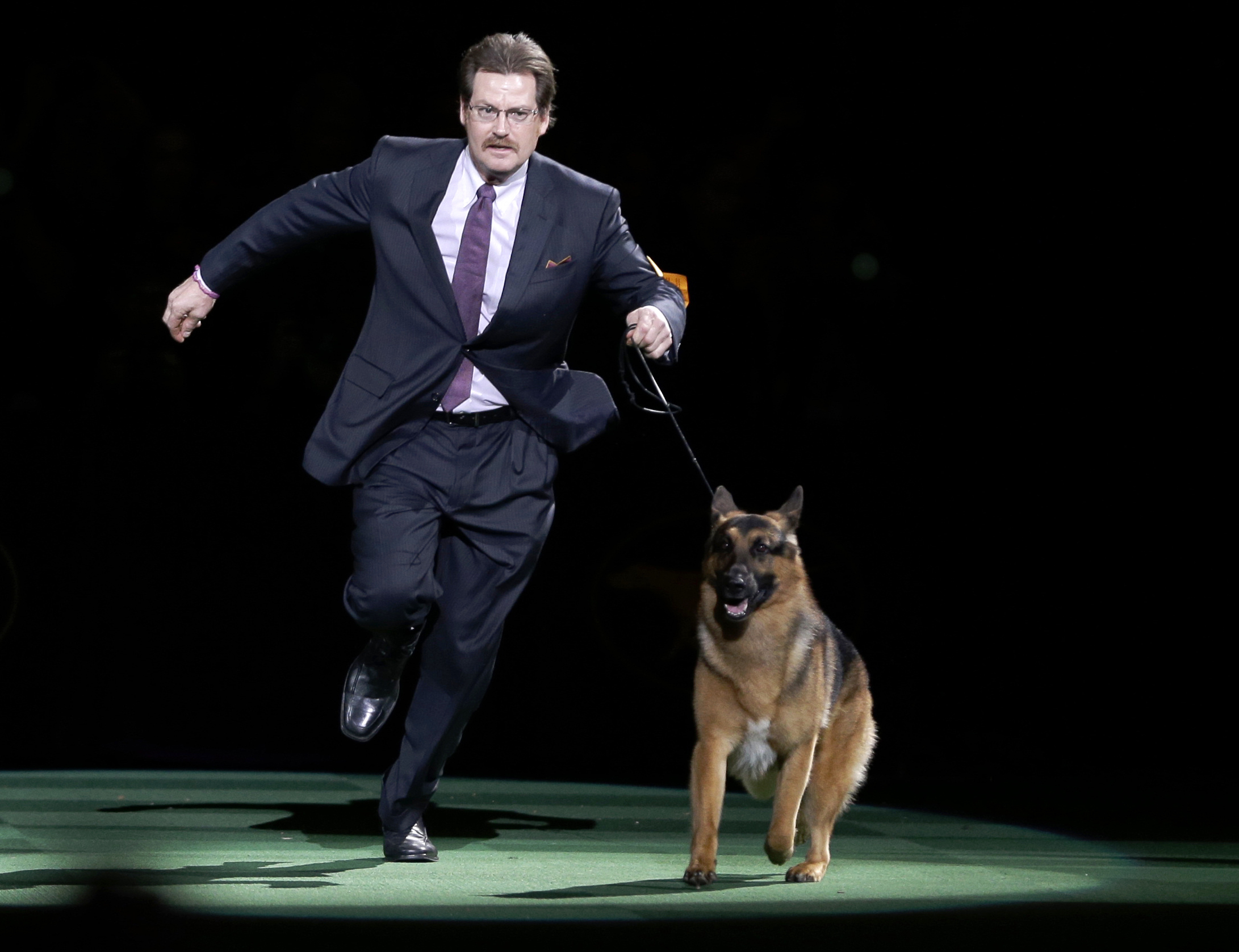 FILE - In this Feb. 16, 2016, file photo, Rumor, a German shepherd, and Kent Boyles take a lap around the ring during the best in show competition at the 140th Westminster Kennel Club dog show at Madison Square Garden in New York. CJ, a German shorthaired pointer, won best in show. Rumor, who just missed winning at the Westminster Kennel Club in 2016, came back to score a big victory Monday, Feb. 13, 2017, beating out favored Preston the puli in the herding group. (AP Photo/Seth Wenig, File) (AP)