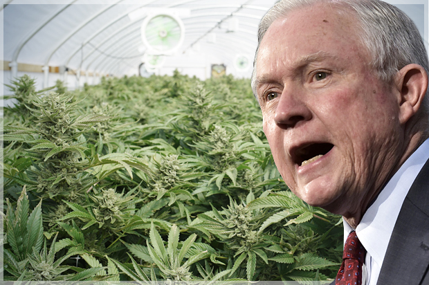 Jeff Sessions (Getty/Mandel Ngan/Shutterstock/Photo montage by Salon)