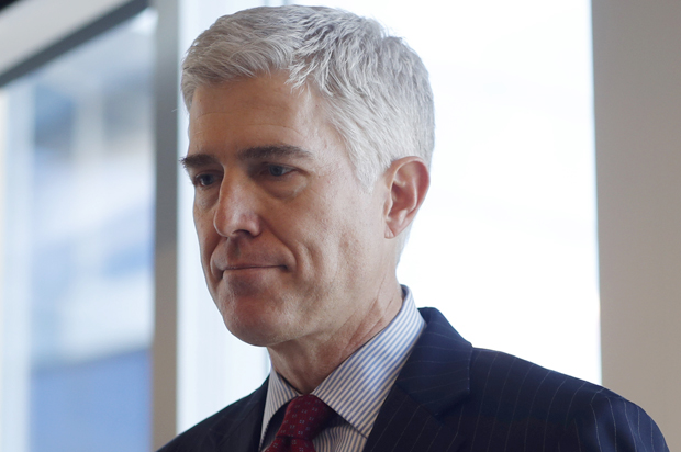 Neil Gorsuch (AP/David Zalubowski)