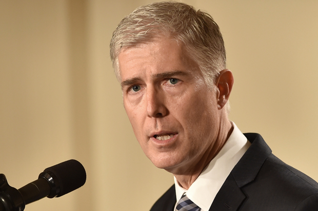 Neil Gorsuch (Getty/Nicholas Kamm)
