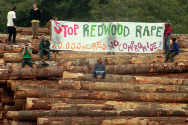 Anti-logging protesters hold up a sign as they stand on lumber inside the Pacific Lumber facility in Carlotta, Calif., Tuesday morning, Oct. 1, 1996 (AP/Paul Sakuma)