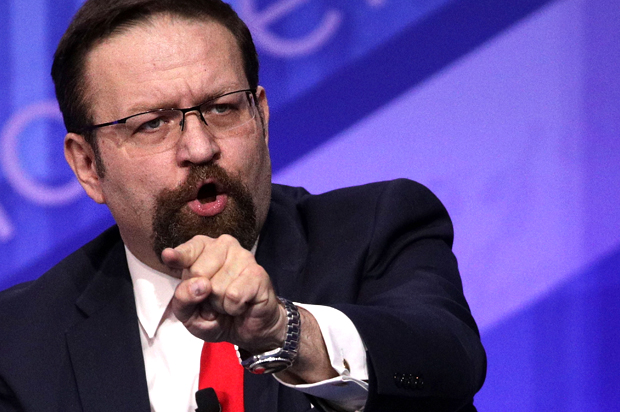 Sebastian Gorka (Getty/Alex Wong)