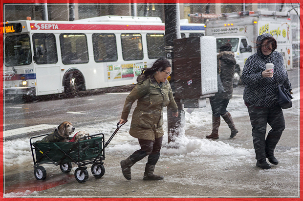 PHILADELPHIA, PA - FEBRUARY 9: A person walks in the snow pulling a cart with a dogs as winter storm conditions begins during the early morning on February 9, 2017 in Philadelphia, PA. A snowstorm has been forecast with up to a foot of snow in a large swath of the Northeast today. (Photo by Jessica Kourkounis/Getty Images) (Getty Images)