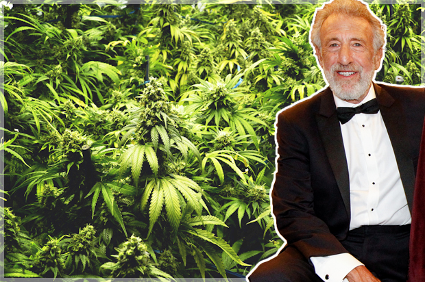 George Zimmer (Getty/Kimberly White/Sal)