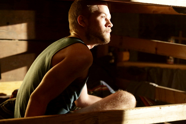 American Crime (ABC/Nicole Wilder)