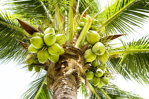 (<a href='https://www.shutterstock.com/g/OlegD'>OlegD</a> via <a href='http://www.shutterstock.com/'>Shutterstock</a>)