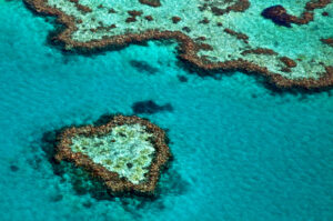 great-reef-300x199.jpg