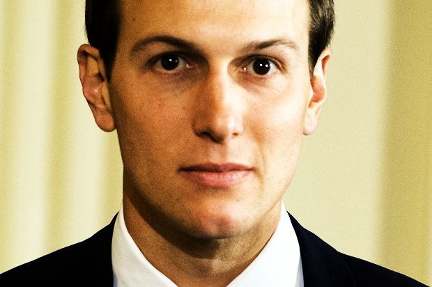 Jared Kushner (AP/Ron Sachs)