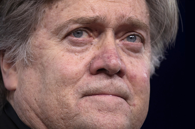 Steve Bannon (Jeff Malet, maletphoto.com)
