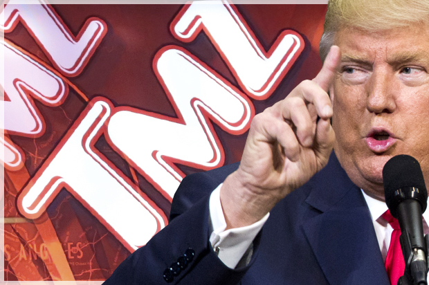 (Getty/Dominick Reuter/AP/Mediapunch/Photo montage by Salon)