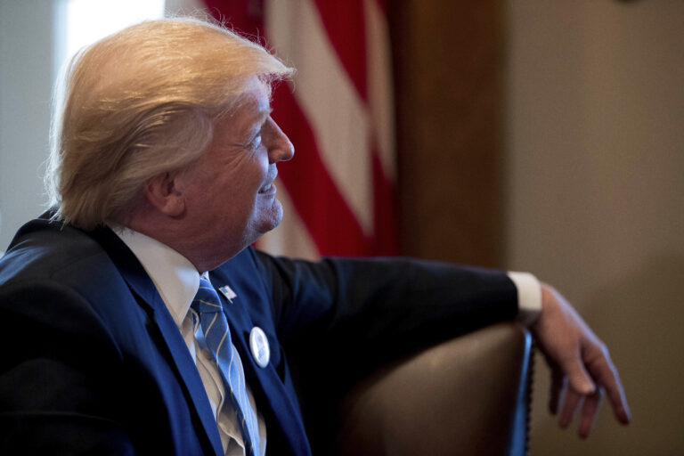 (AP Photo/Andrew Harnik)