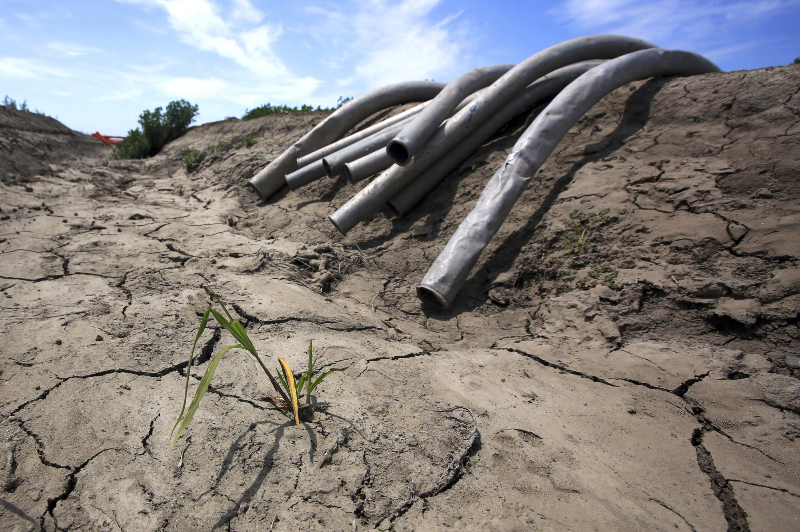 FILE - This May 18, 2015 file photo shows irrigation pipes along a dry irrigation canal on a field near Stockton, Calif.  (AP Photo/Rich Pedroncelli, File) (AP)