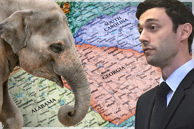 Jon Ossoff (AP/Bill Barrow/Getty/Shutterstock/Salon)