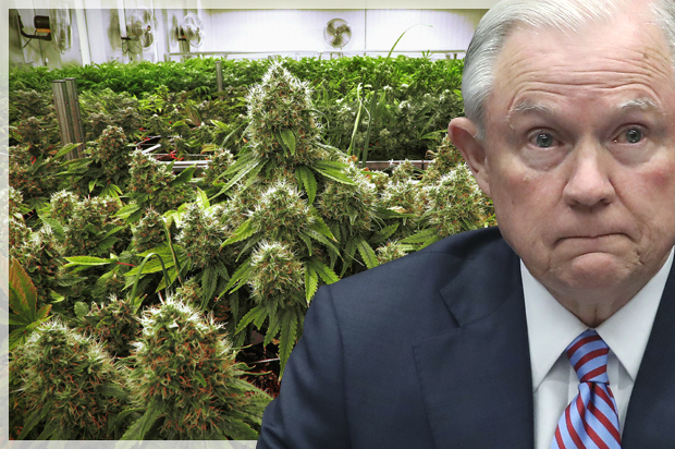 Jeff Sessions (Getty/Mark Wilson/AP/Seth Perlman/Photo montage by Salon)
