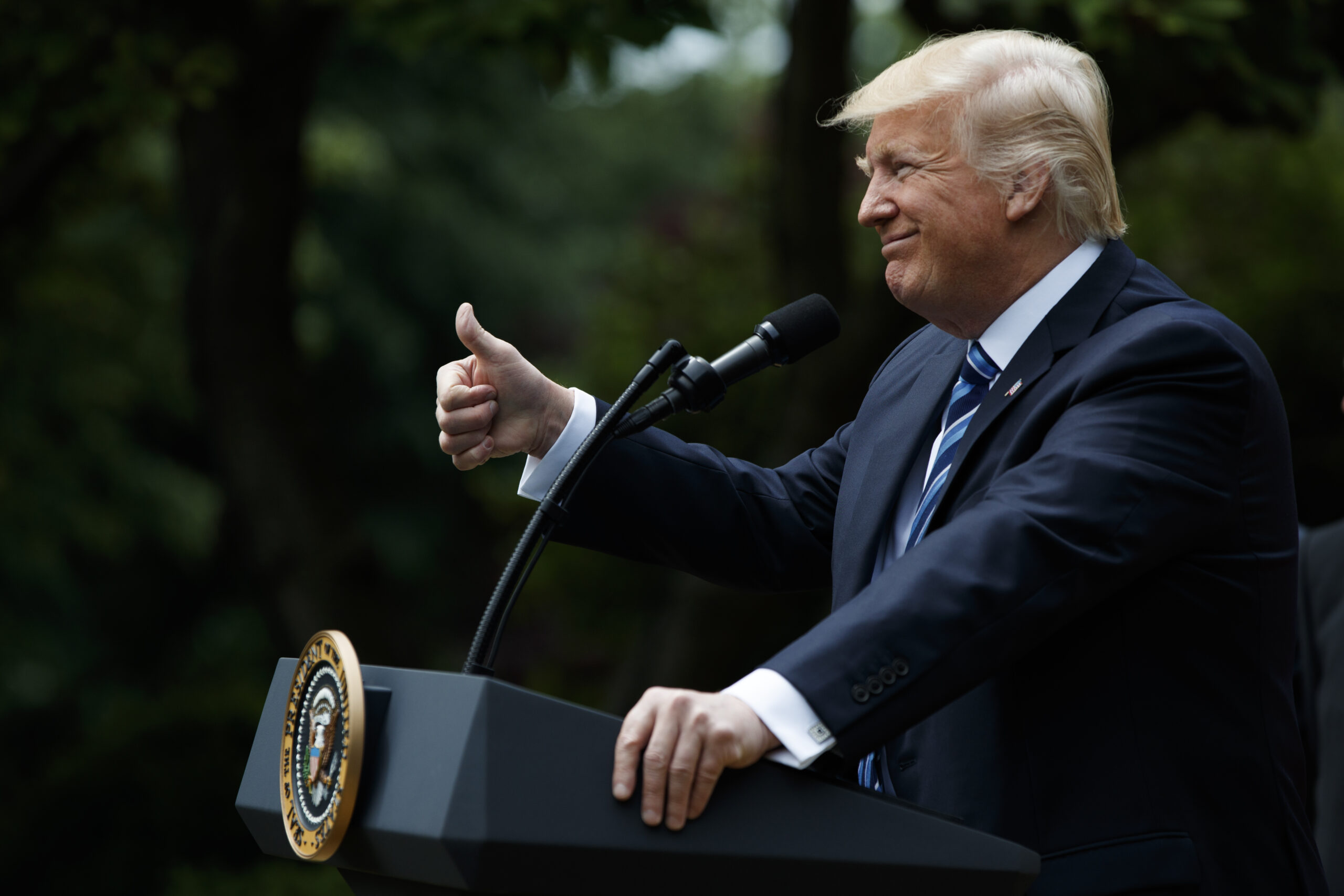 President Donald Trump gestures in the Rose Garden of the White House (AP Photo/Evan Vucci)