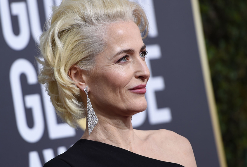 Gillian Anderson (Getty/Valerie Macon)