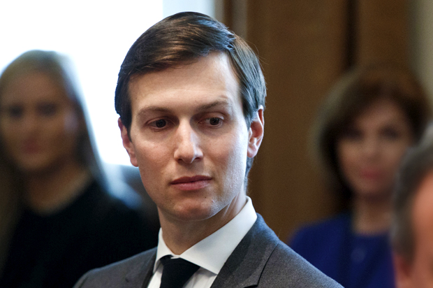Jared Kushner (AP/Evan Vucci)