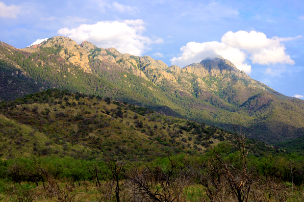 Proposed site in Santa Rita Mountains (Getty/Joesboy)