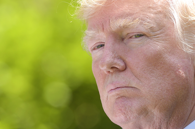 Donald Trump (AP/Susan Walsh)
