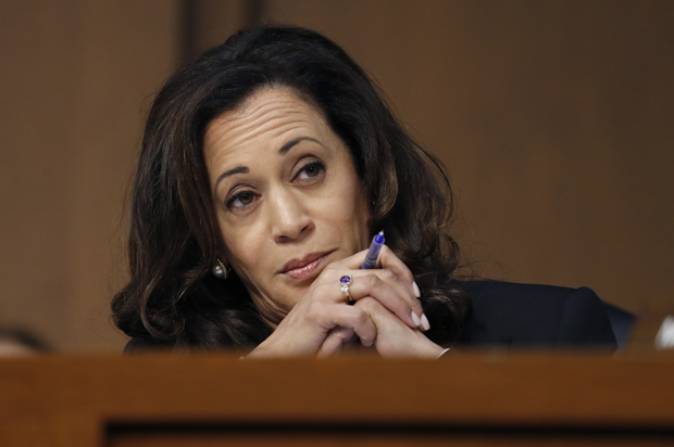 Kamala Harris (AP/Alex Brandon)