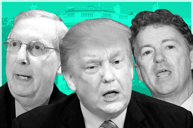 Mitch McConnell; Donald Trump; Rand Paul (AP//Evan Vucci/Timothy D. Easley/Getty/Molly Riley/Salon)