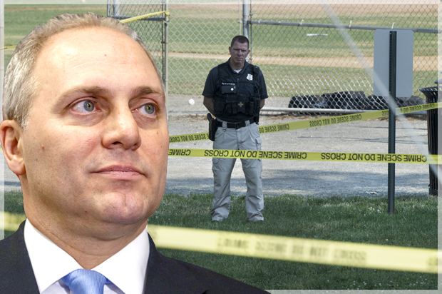 Steve Scalise (AP/J. Scott Applewhite/Cliff Owen)