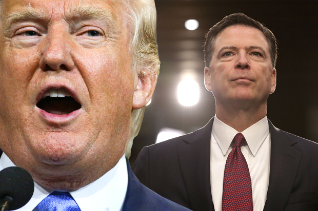 Donald Trump; James Comey (AP/Mark Humphrey/Getty/Chip Somodevilla/Photo montage by Salon)