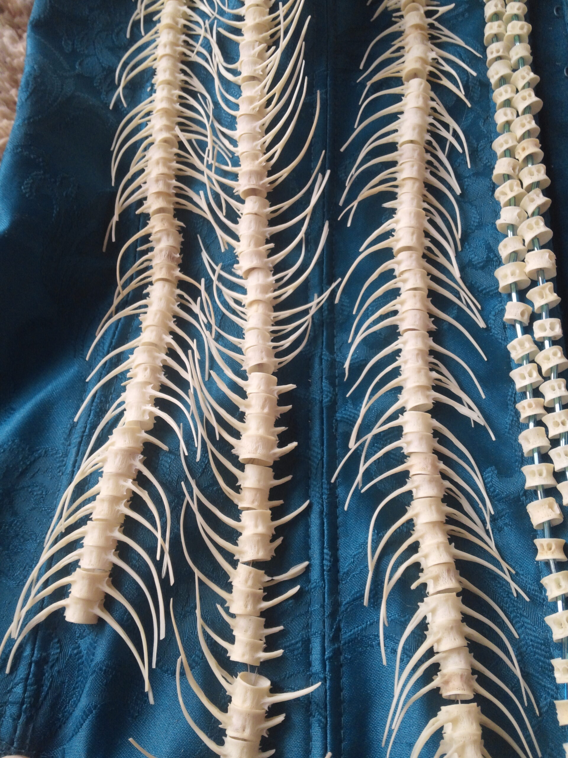 Upcycled salmon bones as wearable art (Courtesy of the artist)