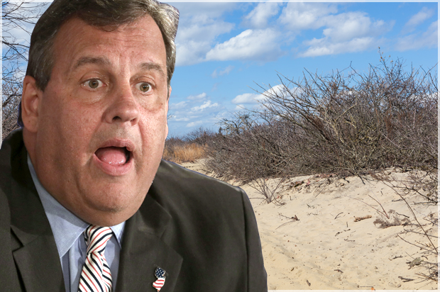 Chris Christie (AP/Mel Evans/Getty/luvemakphoto)