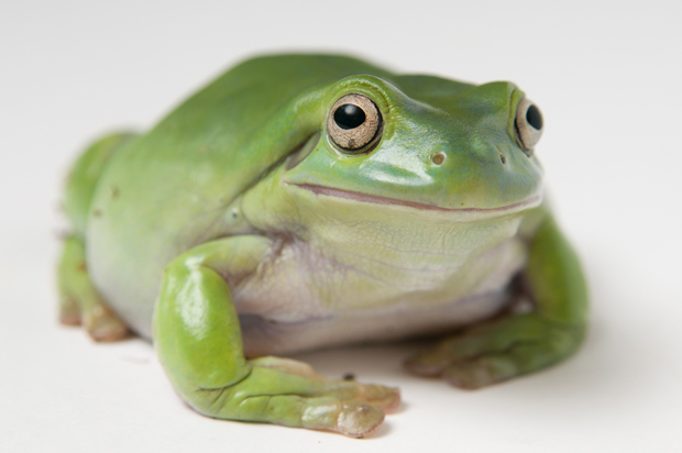 (Shutterstock)