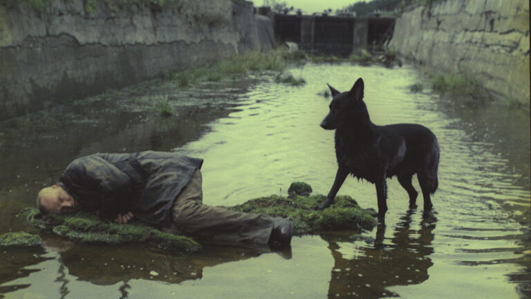Stalker (The Criterion Collection)