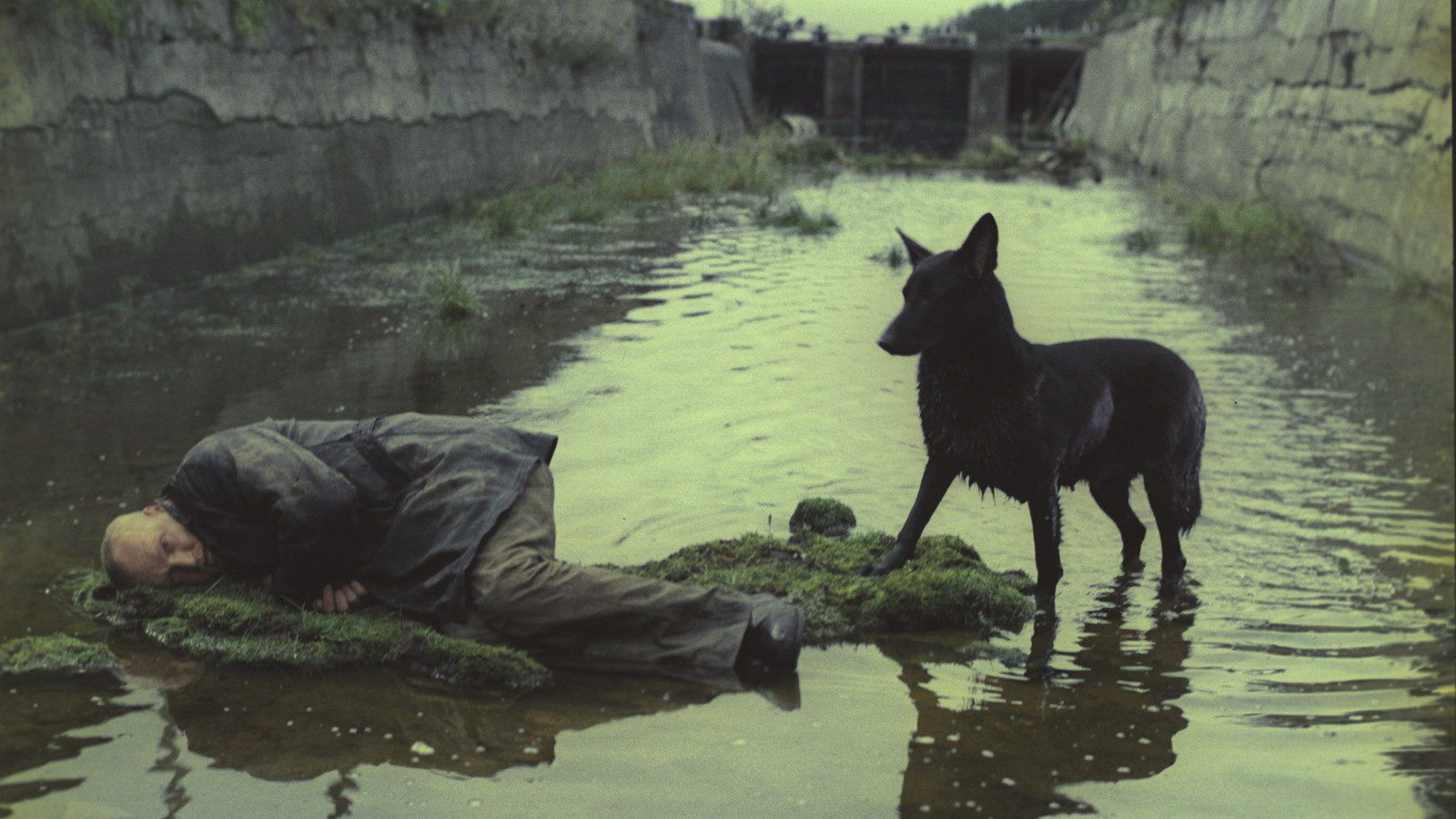 Stalker (The Criterion Collection)