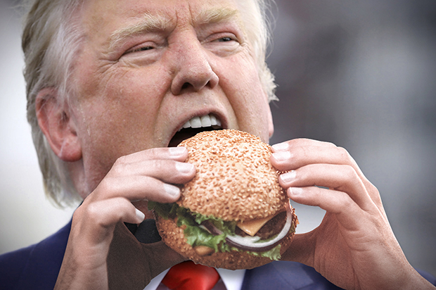 (Getty/Shutterstock/Photo montage by Salon)