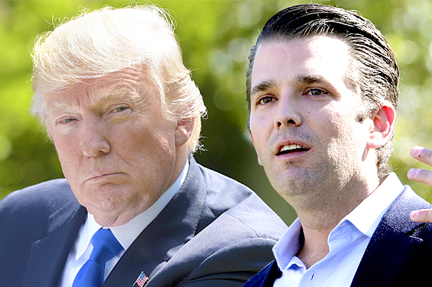 Donald Trump; Donald Trump Jr. (AP/Susan Walsh/Matt York/Salon)
