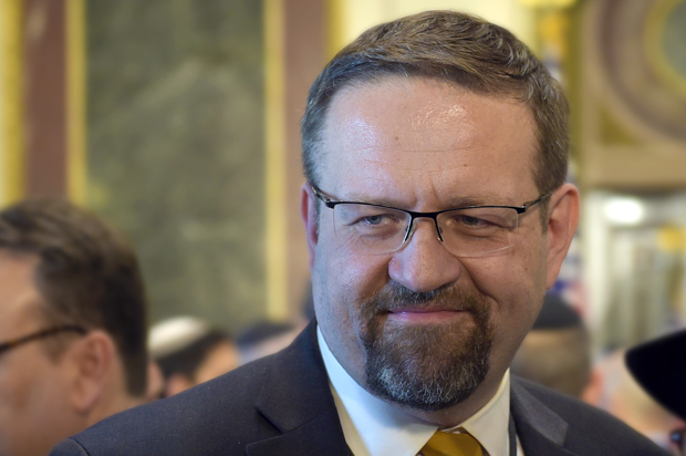 Sebastian Gorka (AP/Susan Walsh)