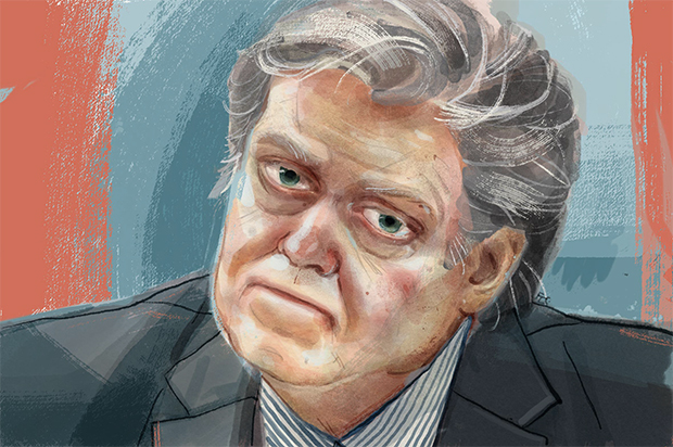 Steve Bannon (salon/Flora Thevoux)